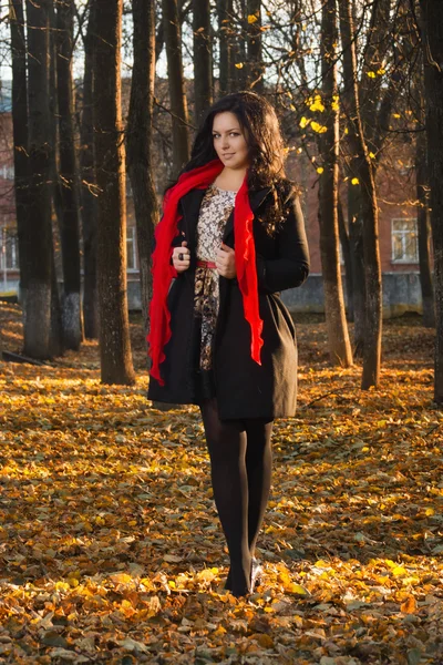 Pretty brunette in autumn park — Stock Photo, Image