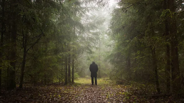 Man i en dimmig skog — Stockfoto