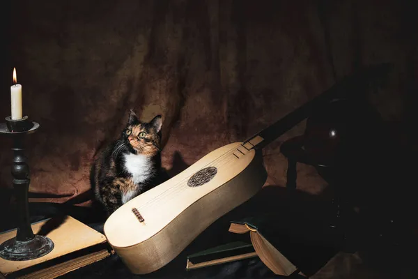 Hudební Zátiší Renesančním Stylu Renesanční Kytarou Kočkou — Stock fotografie