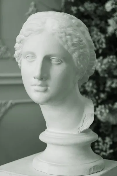 ヴィンテージスタイルの豪華なインテリア アンティーク調の彫像 — ストック写真