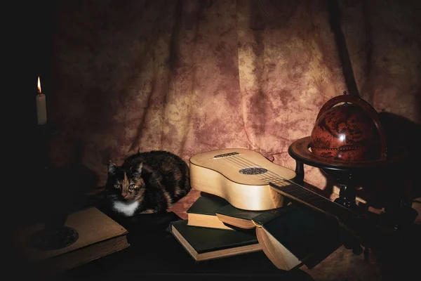 Musikalisches Stillleben Stil Der Renaissance Mit Renaissance Gitarre Und Katze — Stockfoto