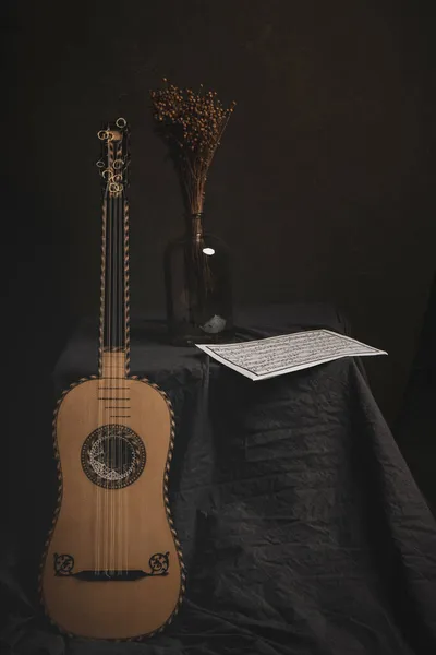 Guitarra Barroca Século Xvii — Fotografia de Stock