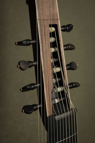 Theorbo Van 17E Eeuw Close Detail — Stockfoto