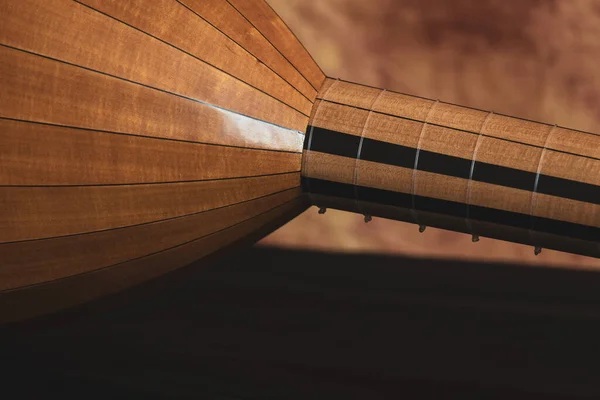 Lute 16Th Century Close Details — Stock Photo, Image