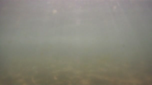 Sous l'eau avec des rayons de soleil 