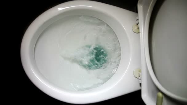 Rubor de água em WC isolado em preto — Vídeo de Stock