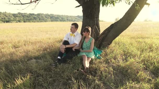 Junges Paar umarmt sich unter dem Baum auf der Wiese — Stockvideo