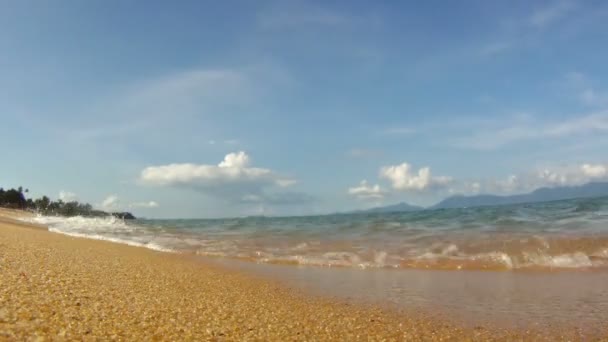 Meereswellen am tropischen Sandstrand — Stockvideo