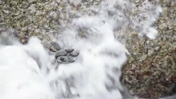 Краб повзає на скелі під хвилями — стокове відео