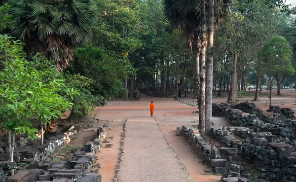 Buddhistischer Mönch auf einem Pfad — Stockfoto