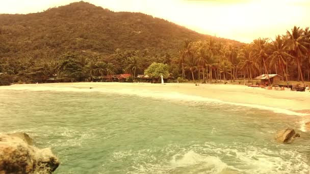Oceaan strand met palmen bij zonsondergang — Stockvideo
