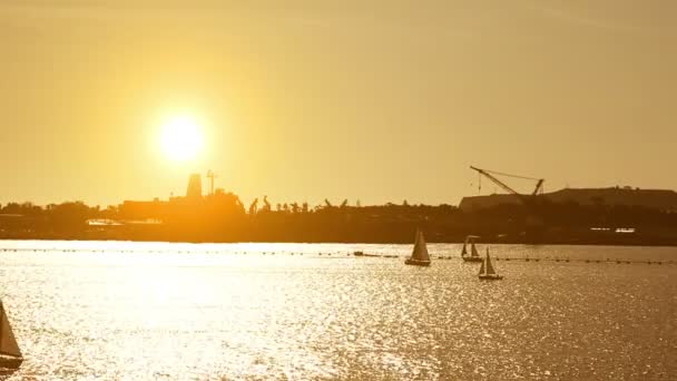 Вітрильний човен у морі на заході сонця — стокове відео