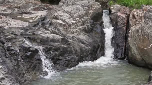 Waterval in zomer berg — Stockvideo