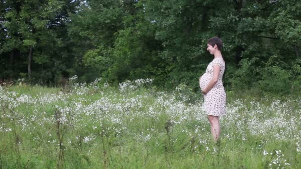 Husband brings flowers for his pregnant wife on the green meadows — Stock Video