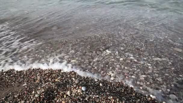 Les vagues de la mer à la plage — Video