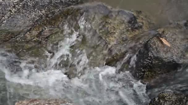 Waterval in zomer berg — Stockvideo