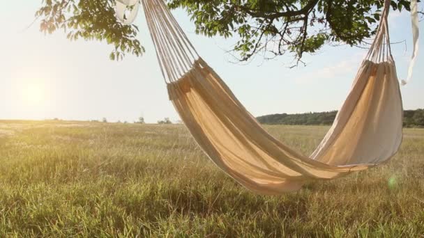 Hammock swinging on the wind at sunset — Stock Video