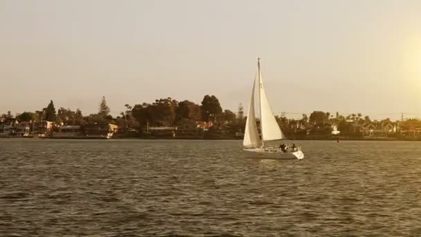夕焼けの海でセーリング ボート — ストック動画