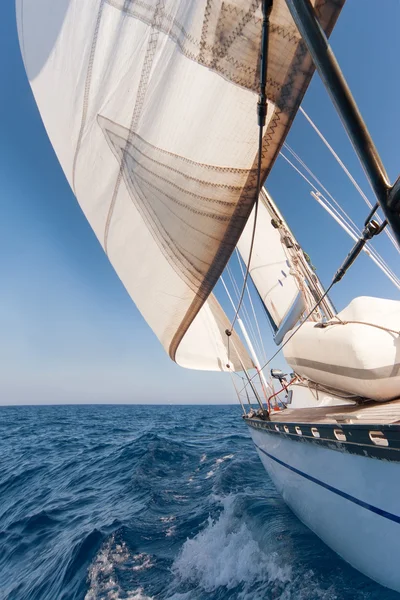 Sailing yacht on the race — Stock Photo, Image