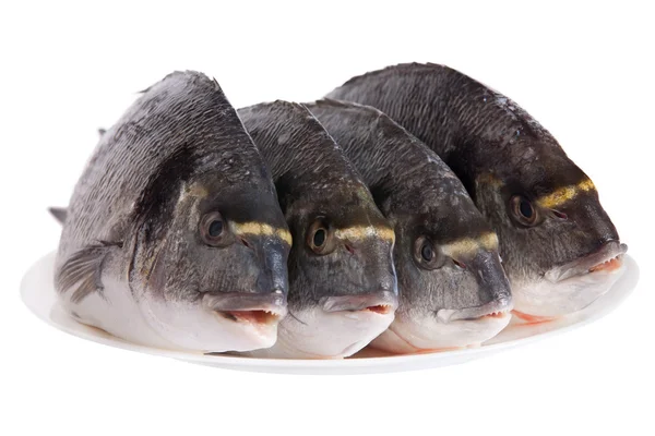 Четыре рыбы Дорадо на белом блюде, изолированные на белом — стоковое фото