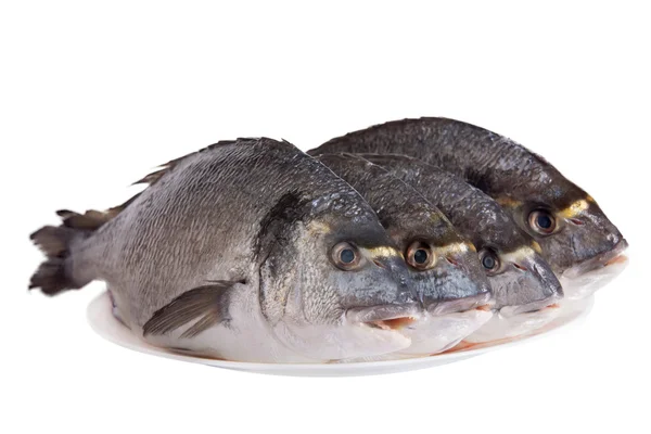 白で隔離される白い皿の上の 4 つの dorado 魚 — ストック写真