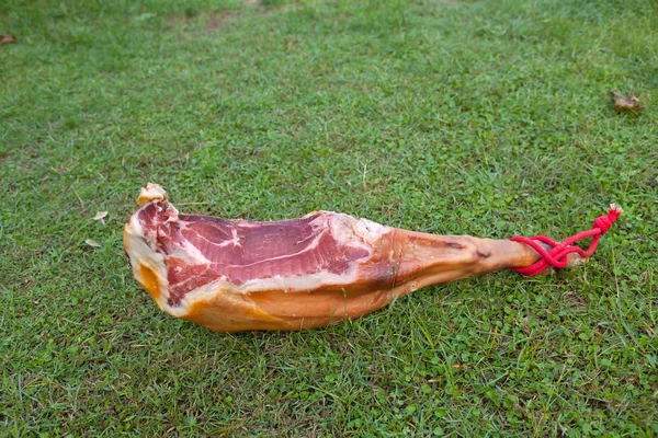 Hammon varkensvlees been op het groene gras — Stockfoto