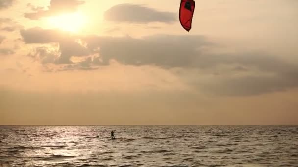 Кіт серфер, що плаває на морі під час заходу сонця — стокове відео