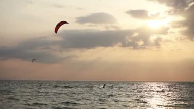 gün batımında denize yelken uçurtma sörfçü