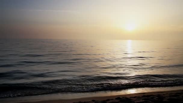 Loving couple running on the sea beach — Stock Video