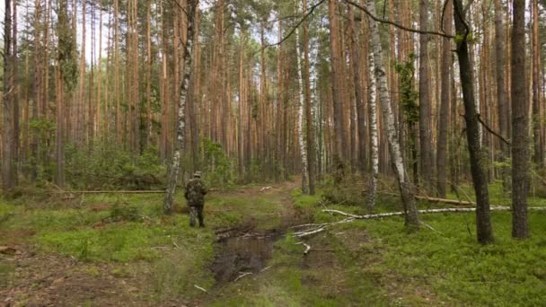 Mannen i kamouflage gå på stigen i sommar skog — Stockvideo