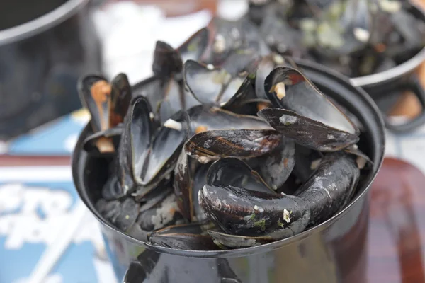 Moules bouillies vides dans la casserole sur la table — Photo