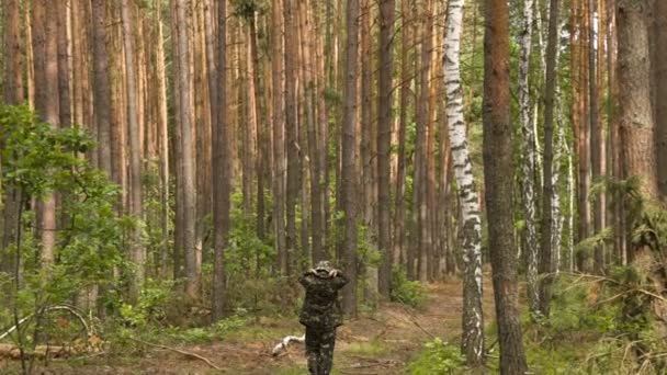 Hombre en camuflaje caminando por el sendero en el bosque de verano — Vídeo de stock