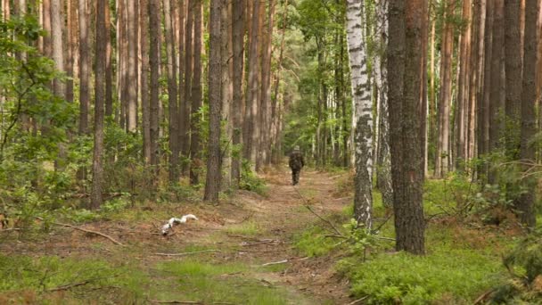 Mannen i kamouflage gå på stigen i sommar skog — Stockvideo