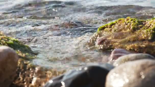 Water waves between stones on the sea beach — Stock Video