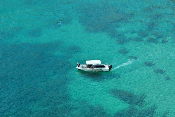 Hastighet båt seglar i havet — Stockfoto