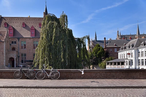 Fietsen op de stoep in de buurt van kanaal — Stockfoto