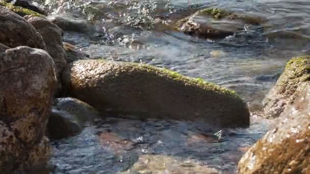 Водні хвилі між камінням на морському пляжі — стокове відео