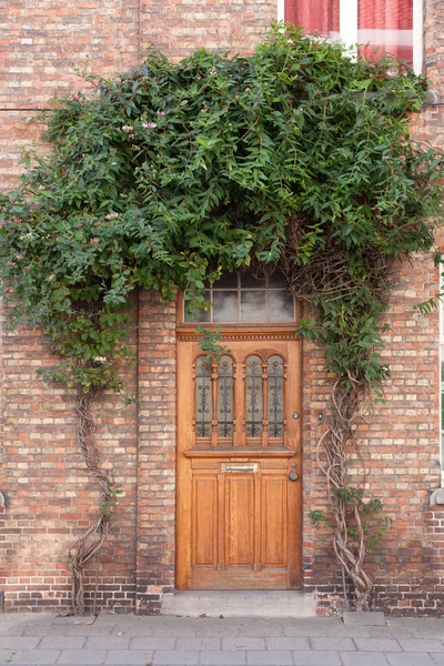 Gesloten deur met wijnstokken op de straat — Stockfoto