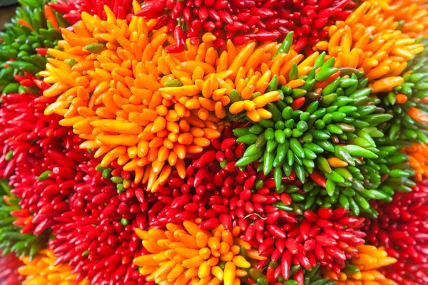 Veelkleurige chili peper trossen op de markt van Venetië — Stockfoto