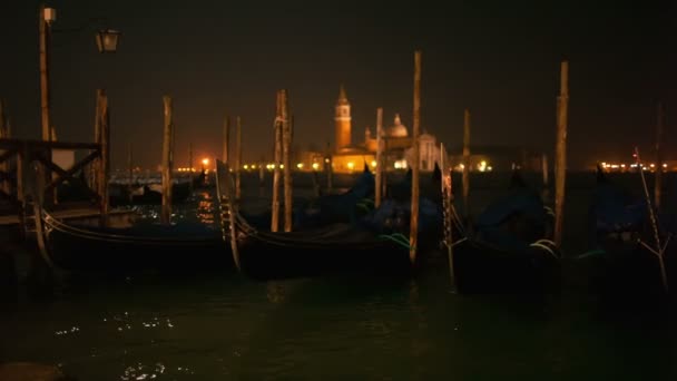 Venetianska gondoler bundna nära piren på san marco square, Venedig, Italien — Stockvideo