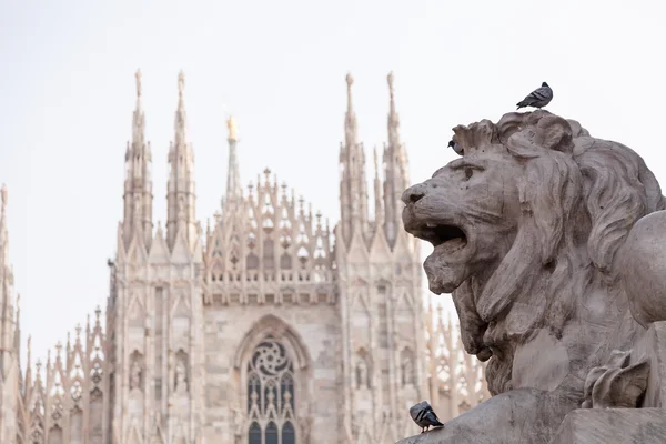 Estatua de león en Milán y catedral — Foto de Stock