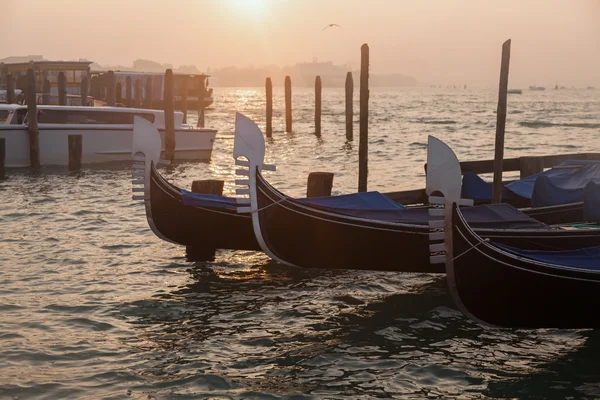 Venetiaanse gondels bij zonsopgang in Venetië — Stockfoto