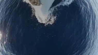 Denizde yelkenli tekne Önden Görünüm