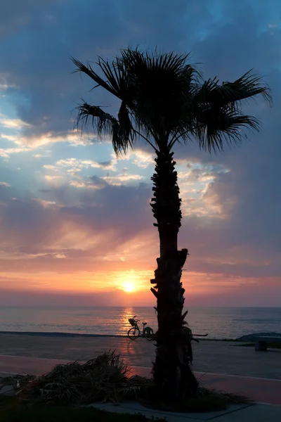 Strandpromenade von Batumi mit Palmensilhouette — Stockfoto