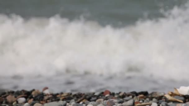 Onde marine sulla spiaggia rocciosa, cambiando focus — Video Stock