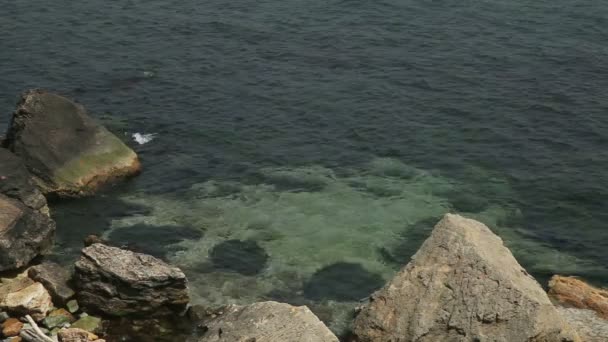 Onde marine sulla spiaggia rocciosa — Video Stock