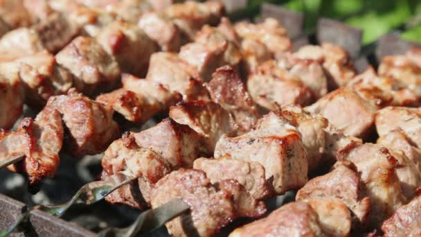 Shashlyk (kebab) grillowania na grill, widok zbliżenie — Wideo stockowe