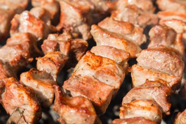 Barbekü Izgara shashlyk (kebap)