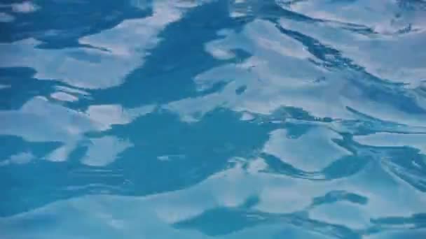 Abstract wave pattern in the swimming pool — Stock Video