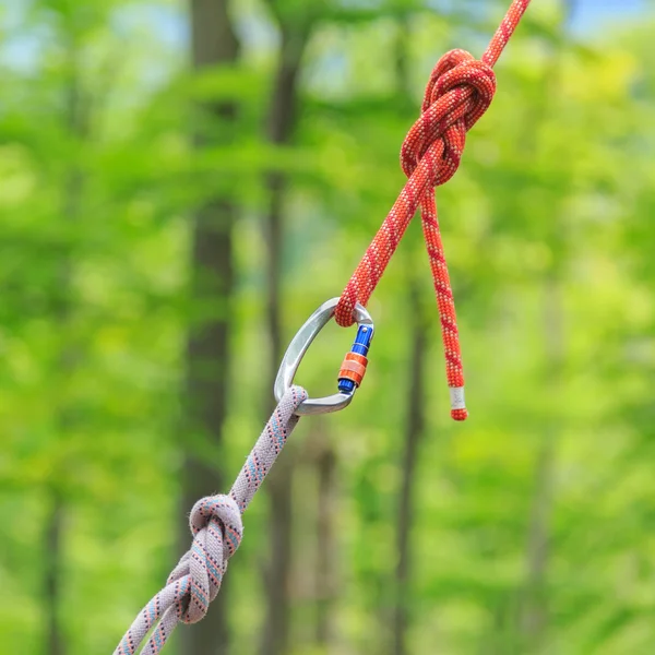 Carabine and knots on ropes — Stock Photo, Image